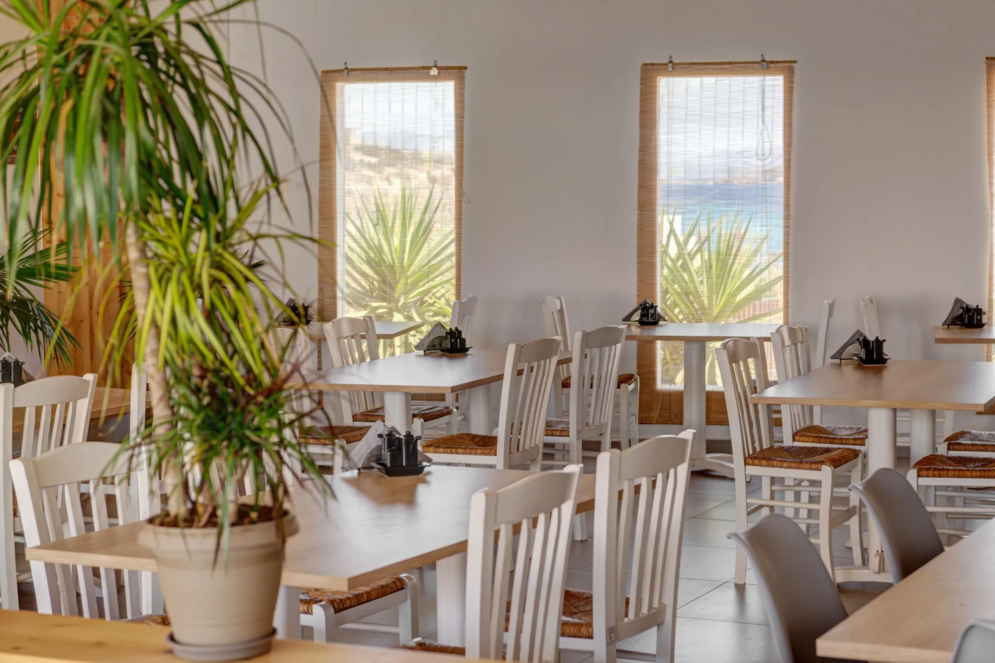 The restaurant's dining room, with white wooden chairs, plants and tall windows